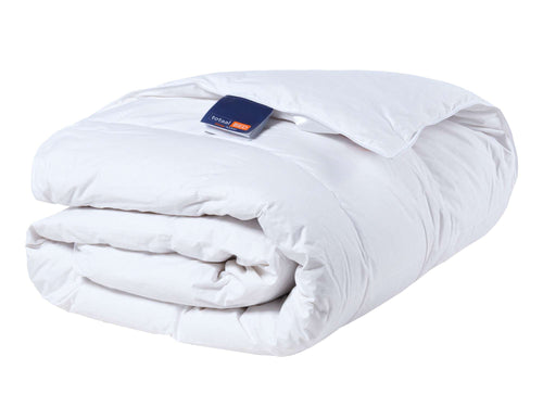 Dekbed Alexia 90% dons | Enkel