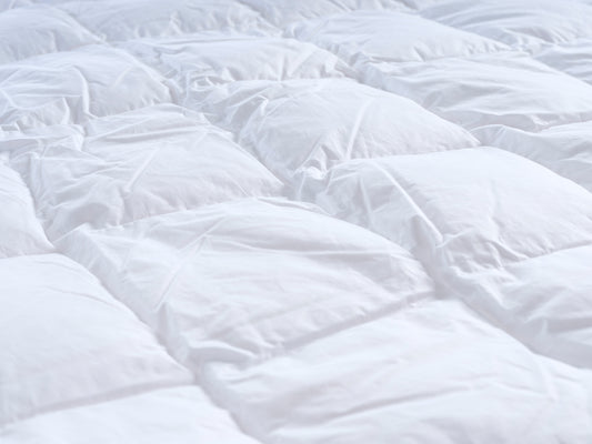 Dekbed Ariane 100% dons | Enkel