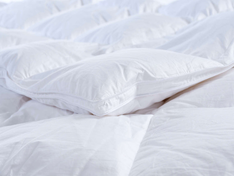 Dekbed Ariane 100% dons | enkel